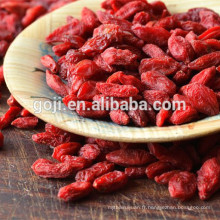 Échantillon gratuit naturel sain Goji Berry